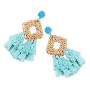 Bamboo wooden earrings NEW